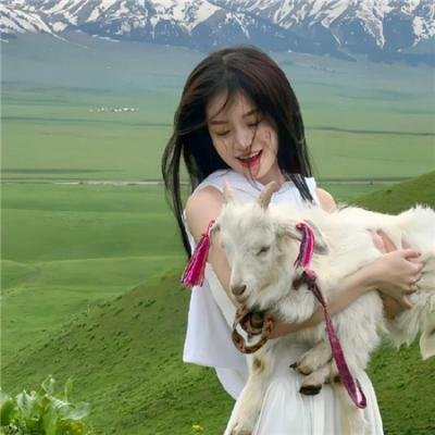 摇曳露营第二季